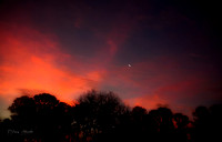 Waning Crescent Moon & Red Sunrise