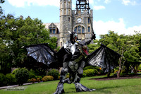 The DragonRider