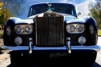 Exotic Cars