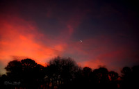 Waning Crescent Moon & Red Sunrise