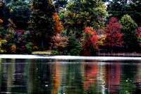 Fall at the Lake